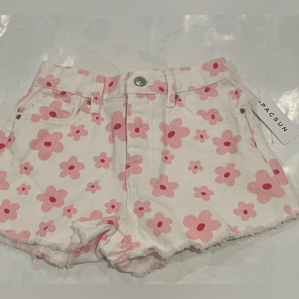PacSun Vintage High Rise Shorts (22)